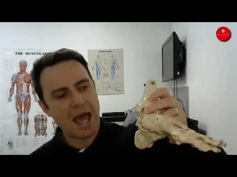 How Orthotics Can Help Mechanical Foot Pain